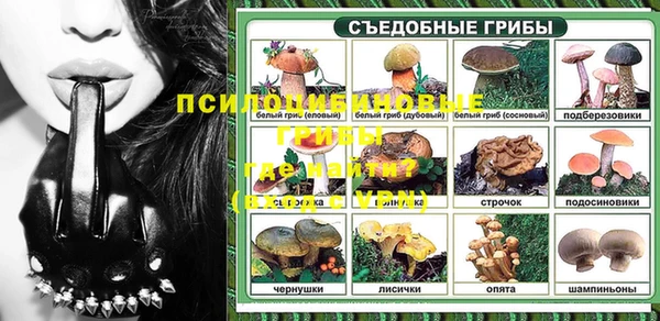 прущие крисы Алзамай