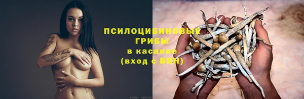 прущие крисы Алзамай