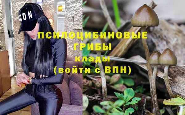 прущие крисы Алзамай