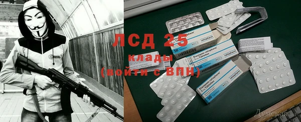 прущие крисы Алзамай