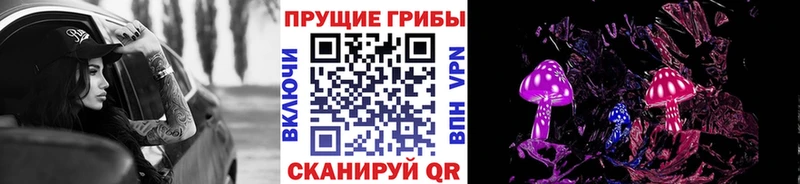 хочу   Бакал  Псилоцибиновые грибы мухоморы 